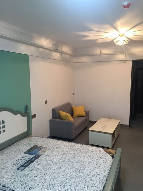 河西南湖路隧道口公寓出租信息与物业管理服务介绍