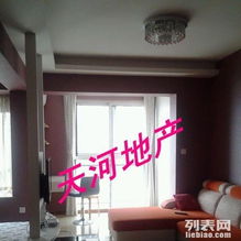 CBD精品公寓出租 45平豪装，全新家具家电，即租即住