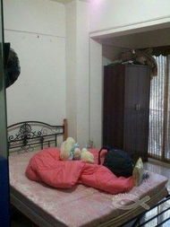 精品单身公寓出租 都市生活的理想之选