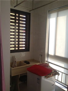 中钢世纪花园单身公寓出租